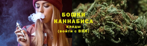 не бодяженный Надым