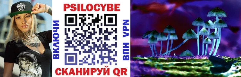 Псилоцибиновые грибы Magic Shrooms  Купить где  Заволжск 