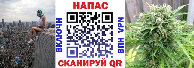 Купить где  Заволжск  Конопля конопля 